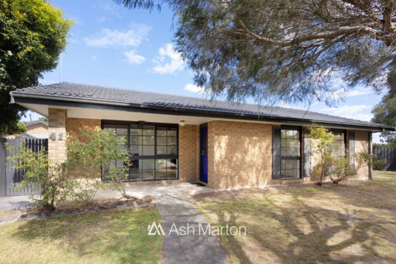 41 Paddington Avenue, Carrum Downs